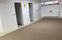 Spatiu comercial, 184 mp,  zona  Radauti