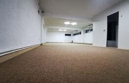 Spatiu comercial, 184 mp,  zona  Radauti