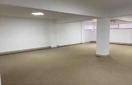 Spatiu comercial, 184 mp,  zona  Radauti