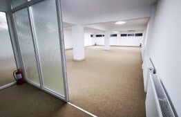 Spatiu comercial, 184 mp,  zona  Radauti