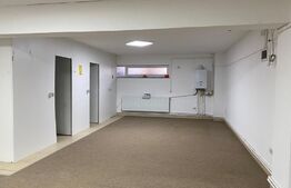 Spatiu comercial, 184 mp,  zona  Radauti