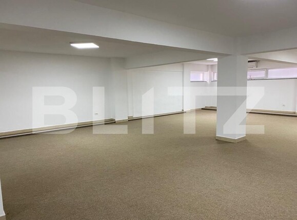 Spațiu comercial de închiriat Radauti - 130865SIC | BLITZ Suceava | Poza8