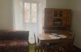 Casa individuala, renovabila, 400 mp , utili, Bogdan Vodă,  Radauti