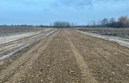 Teren intravilan, parcelabil, 15000mp, Marginea