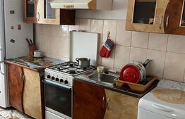 Casa 2 camere, 50mp, zona Dornesti