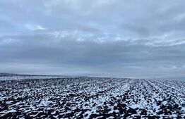 Teren Intravilan, 5000mp, Scheia