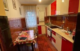 Apartament 2 camere, 50 mp, zona liceului Vasile Lovinescu