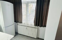 Garsoniera, 24 mp, cartier Obcini