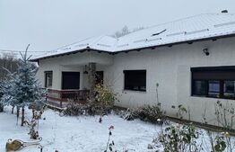 Casa individuala 4 camere, 230mp, oras Siret