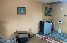 Casa individuala 4 camere, 230mp, oras Siret