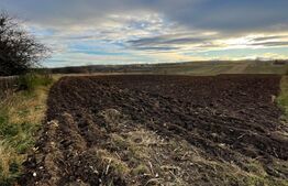 Teren extravilan, 3.759 mp, ieșire Fălticeni - intrare Rădășeni