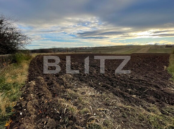 Teren de vânzare Falticeni - 131231TV | BLITZ Suceava | Poza2
