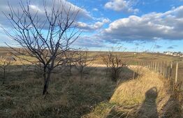 Casa batraneasca, 80mp, zona  Balcauti
