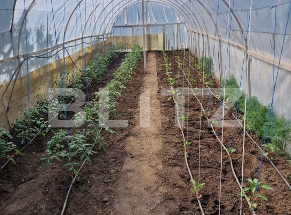 Casa de vânzare 4 camere Falticeni - 131385CV | BLITZ Suceava | Poza7