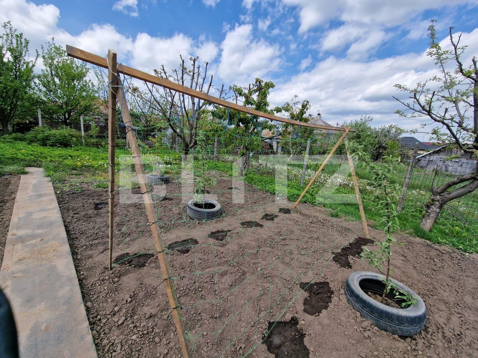 Casa de vânzare 4 camere Falticeni - 131385CV | BLITZ Suceava | Poza8