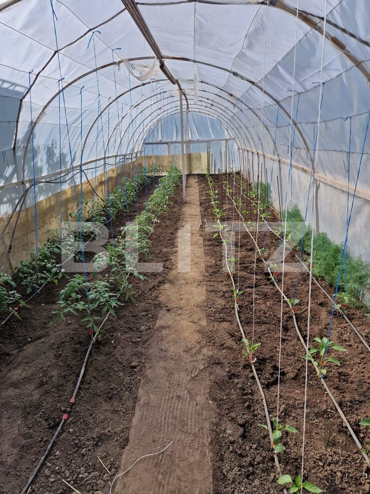 Casa de vânzare 4 camere Falticeni - 131385CV | BLITZ Suceava | Poza7