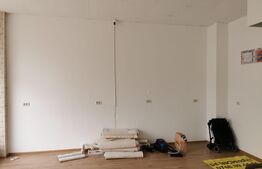 Spatiu comercial Burdujeni, 101mp