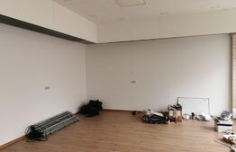 Spatiu comercial Burdujeni, 101mp