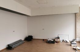 Spatiu comercial Burdujeni, 101mp