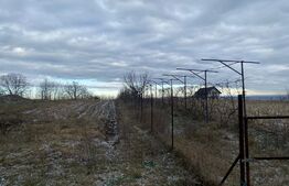 Teren  de vanzare, oras Siret