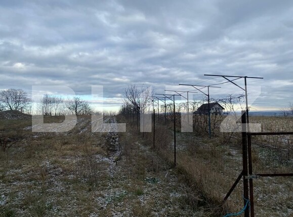 Teren de vânzare Siret - 131581TV | BLITZ Suceava | Poza3