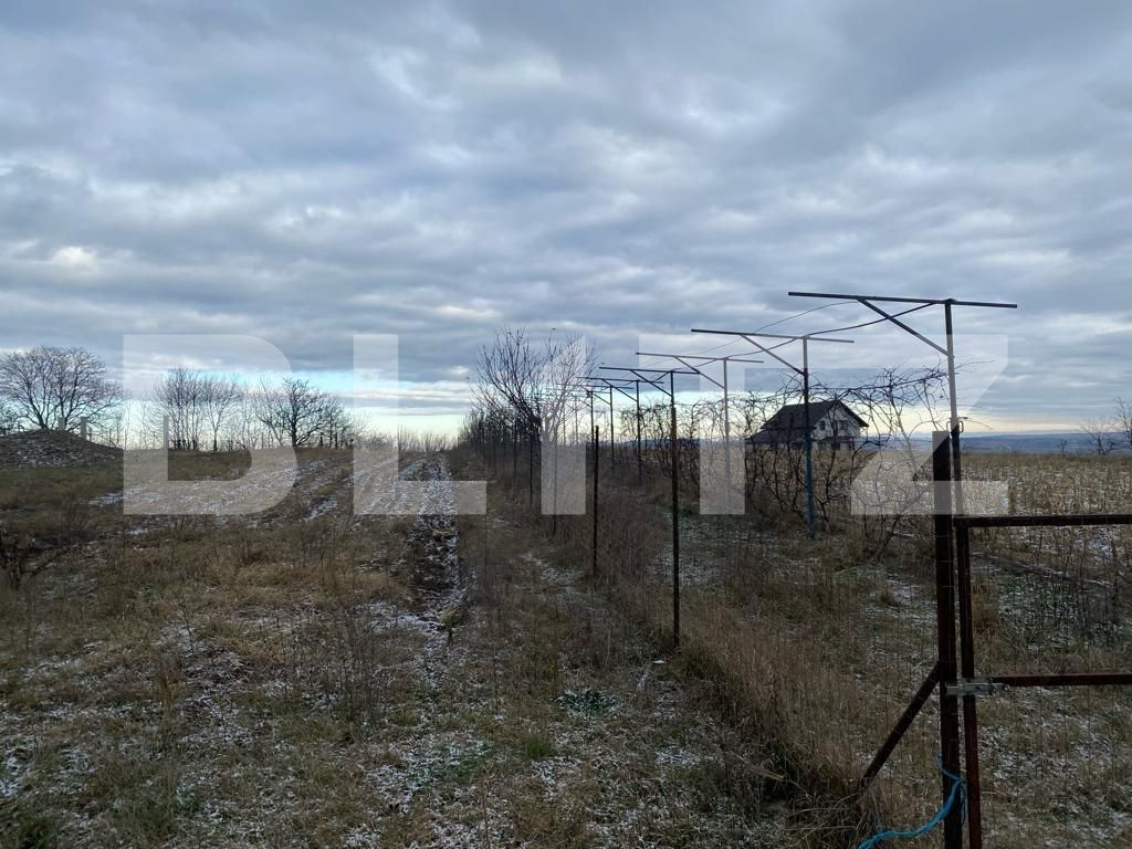 Teren de vânzare Siret - 131581TV | BLITZ Suceava | Poza3