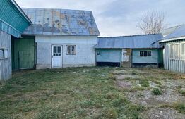 Casa batraneasca, 240mp, sat Negostina