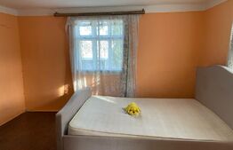 Casa batraneasca, 240mp, sat Negostina