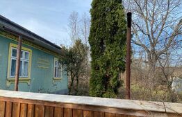 Casa batraneasca, 240mp, sat Negostina