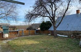 Casa batraneasca, 240mp, sat Negostina