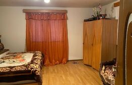 Casa si hala de vanzare, in Horodnic