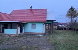 Casa si hala de vanzare, in Horodnic