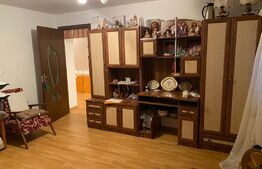 Casa si hala de vanzare, in Horodnic