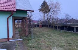 Casa si hala de vanzare, in Horodnic