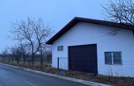 Casa si hala de vanzare, in Horodnic