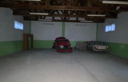 Casa si hala de vanzare, in Horodnic