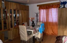 Casa si hala de vanzare, in Horodnic