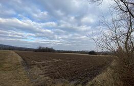 Teren intravilan, 4000mp, parcelat, zona Horodnic