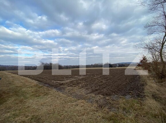 Teren de vânzare Horodnic - 131754TV | BLITZ Suceava | Poza4