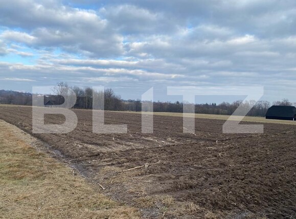 Teren de vânzare Horodnic - 131754TV | BLITZ Suceava | Poza3