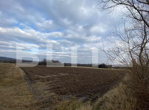 Teren de vânzare Horodnic - 131754TV | BLITZ Suceava | Poza1