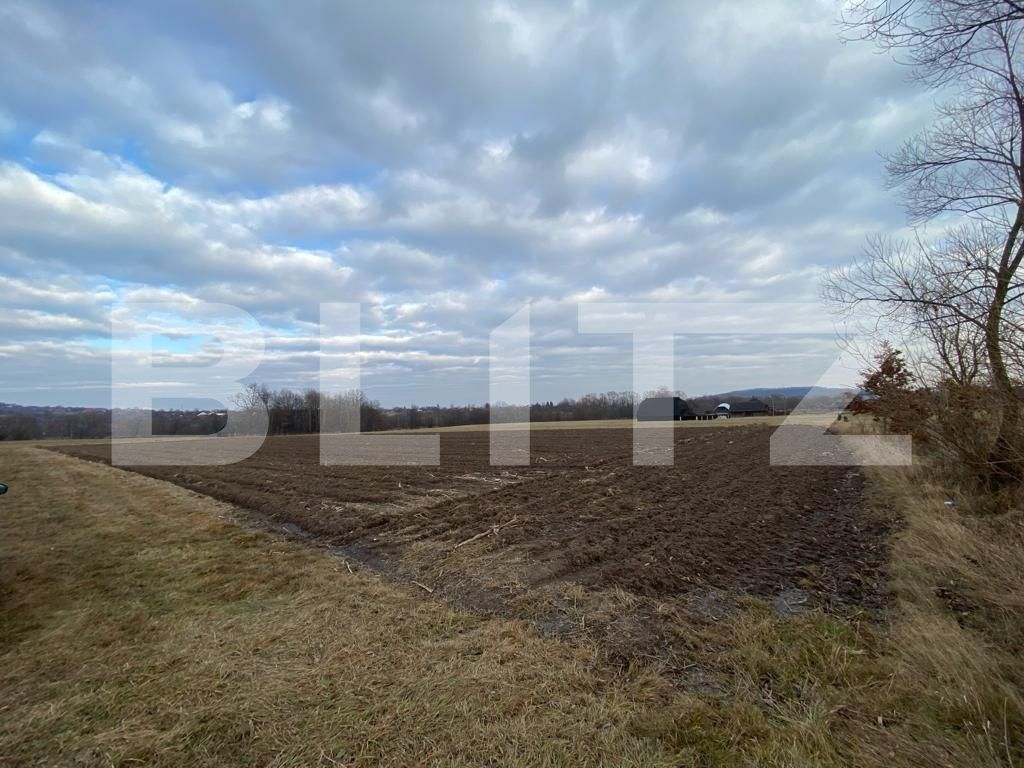 Teren de vânzare Horodnic - 131754TV | BLITZ Suceava | Poza4