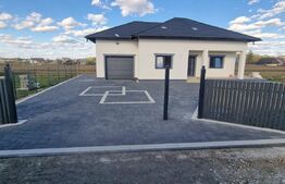 Casa individuala 5 camere, 260mp, zona Horodnic