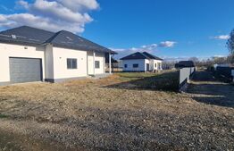 Casa individuala 5 camere, 260mp, zona Horodnic