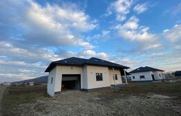 Casa individuala 5 camere, 260mp, zona Horodnic