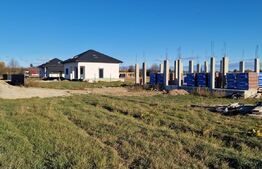 Casa individuala 5 camere, 260mp, zona Horodnic