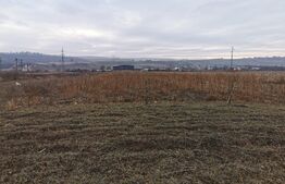 Teren intravilan Poiana Patrauti de 5900mp