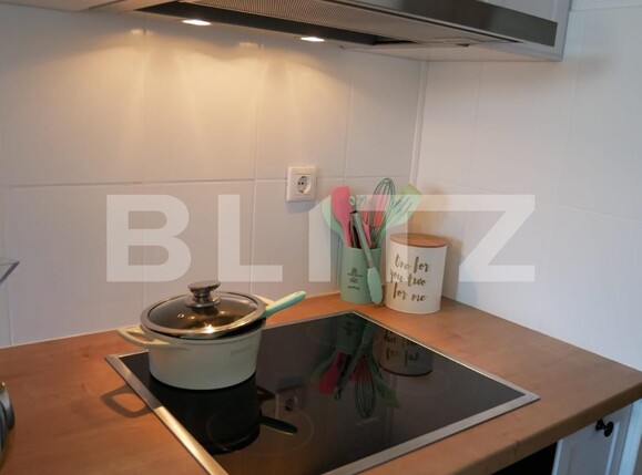 Apartament de închiriat 2 camere Burdujeni - 132159AI | BLITZ Suceava | Poza13