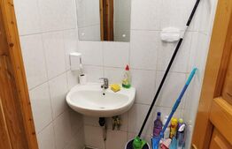 Spatiu comercial 101 mp, Burdujeni