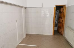 Spatiu comercial 101 mp, Burdujeni